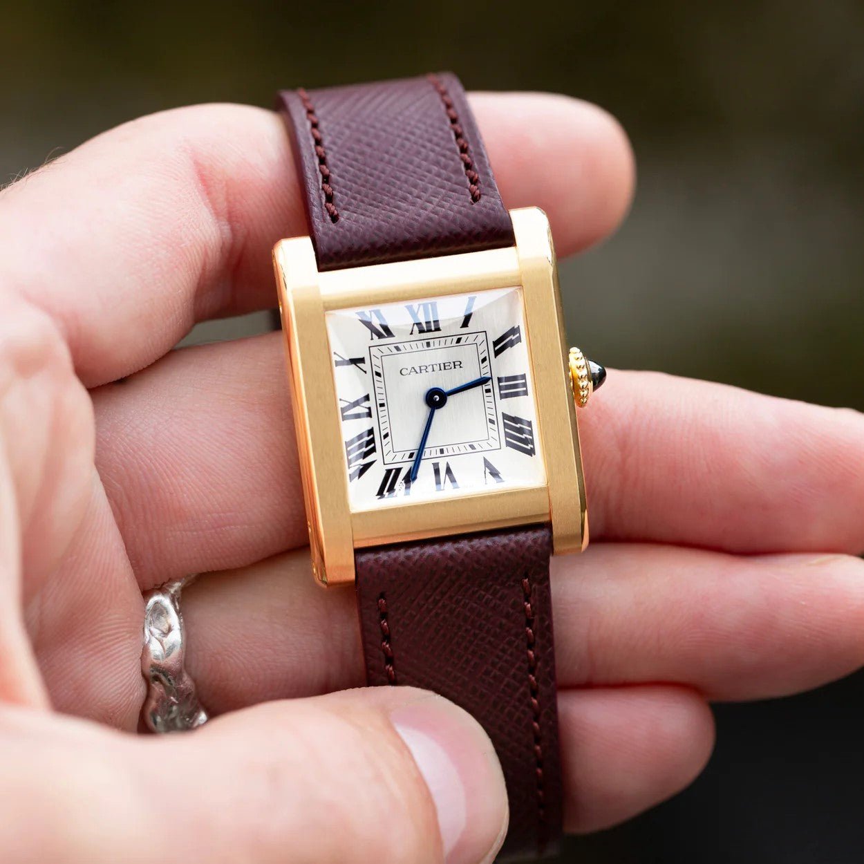 Molequin St. Emilion Saffiano Leather Watch Strap | Holben's